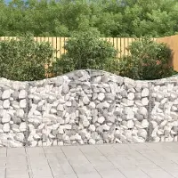 Prolenta Maison Exclusive - Paniers à gabions arqués 12 pcs 200x30x100/120 cm Fer galvanisé