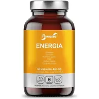 Panaseus énergie 50 gélules BI6060