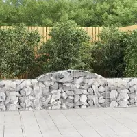Prolenta Maison Exclusive - Paniers à gabions arqués 12 pcs 300x30x60/80 cm Fer galvanisé