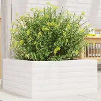 Prolenta Maison Exclusive - Bac à plantes blanc 50x50x23 cm Bois massif Pin