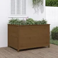 Prolenta Maison Exclusive - Potager surélevé brun miel 119,5 x 82,5 x 78 cm Bois massif Pin