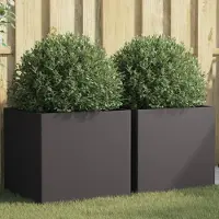 Prolenta Maison Exclusive - Bac à plantes 2 pièces Noir 49x47x46 cm Acier