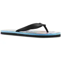 Reebok Chaussures Cash Flip, BD5213