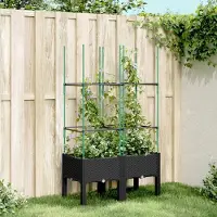 Prolenta Maison Exclusive - Bac à plantes avec treillis noir 80x40x142,5 cm PP