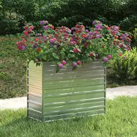 Prolenta Maison Exclusive - Lit surélevé de jardin 100x40x77 cm Acier galvanisé Argenté