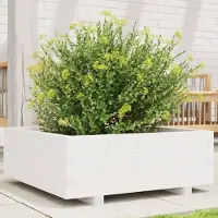 Prolenta Maison Exclusive - Bac à plantes blanc 70x70x26,5 cm Bois massif Pin