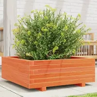 Prolenta Maison Exclusive - Bac à plantes brun cire 70x70x26,5 cm Bois massif Pin