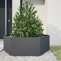 Prolenta Maison Exclusive - Bac à plantes anthracite hexagonal 138x120x45 en acier