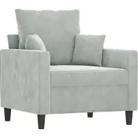 vidaXL Fauteuil gris clair 60 cm velours