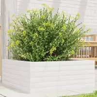 Prolenta Maison Exclusive - Bac à plantes blanc 60x60x23 cm Bois massif Pin