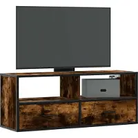Prolenta Maison Exclusive - Meuble TV Chêne fumé 100x31x39,5 cm Matériau dérivé du bois et métal
