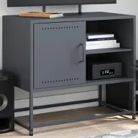 Prolenta Maison Exclusive - Meuble TV Rosa 100,5x39x60,5 cm Acier