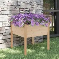 Prolenta Maison Exclusive - Bac à plantes 70x70x70 cm en pin massif