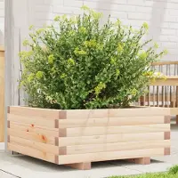 Prolenta Maison Exclusive - Bac à plantes 60 x 60 x 26,5 cm en pin massif