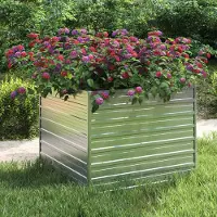Prolenta Maison Exclusive - Lit surélevé de jardin 100x100x77 cm Acier galvanisé Argenté