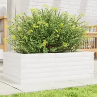 Prolenta Maison Exclusive - Bac à plantes blanc 70x40x23 cm Bois massif Pin