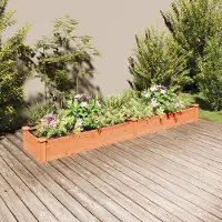 Prolenta Maison Exclusive - Jardinière surélevée en bois massif de sapin, couleur marron, dimensions : 240 x 45 x 25 cm