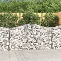 Prolenta Maison Exclusive - Paniers à gabions arqués 2 pcs 200x50x100/120 cm fer galvanisé