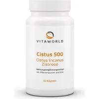 Vita-World GmbH Vitaworld Cistus 500 | 60 gélules | Ciste & Zinc | végétalien