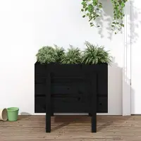 Prolenta Maison Exclusive - Bac à plantes noir 62x50x57 cm Bois massif Pin