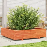 Prolenta Maison Exclusive - Bac à plantes brun ciré 100x100x26,5 cm Bois massif Pin