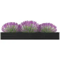 Prolenta Maison Exclusive - Potager surélevé Acier galvanisé 320×40×45 cm Anthracite