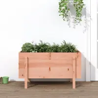 Prolenta Maison Exclusive - Jardinière surélevée 101x50x57 cm, en bois massif de douglas