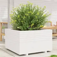 Prolenta Maison Exclusive - Jardinière blanc 80x80x49,5 cm bois de pin massif