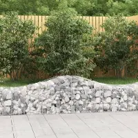 Prolenta Maison Exclusive - Paniers à gabions arqués 11 pcs 200x50x40/60 cm fer galvanisé