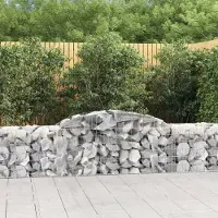 Prolenta Maison Exclusive - Paniers à gabions arqués 20 pcs 300x50x60/80 cm fer galvanisé