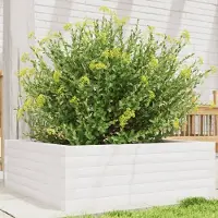 Prolenta Maison Exclusive - Bac à plantes blanc 70x70x23 cm Bois massif Pin