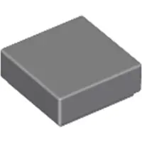 LEGO 1x1 carreaux 3070 - 100 pièces gris bleuté foncé