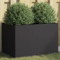 Prolenta Maison Exclusive - Bac à plantes noir 62x40x39 cm en acier
