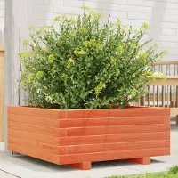 Prolenta Maison Exclusive - Bac à plantes brun ciré 60x60x26,5 cm Bois massif de pin