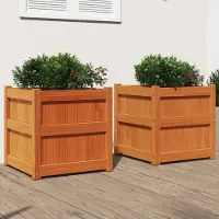 Prolenta Maison Exclusive - 2 bacs à plantes brun cire, bois massif de pin