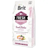 Brit Fresh chicken with potato puppy healthy growth - Poulet frais avec pommes de terre pour chiots - 2,5 kg