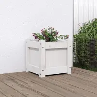 Prolenta Maison Exclusive - Bac à plantes blanc 31x31x31 cm Bois massif de pin