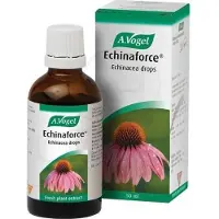 A.Vogel A. Vogel Echinaforce Teinture mère d'Echinacea Purpurea fraîche Herbal Immune Booster, 50 ml