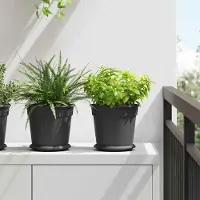 Prolenta Maison Exclusive - Pot de fleurs rond, lot de 24, noir, Ø 19 x 16 cm, plastique