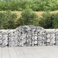 Prolenta Maison Exclusive - Paniers à gabions arqués 11 pcs 300x50x80/100 cm fer galvanisé
