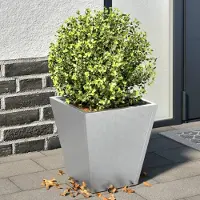 Prolenta Maison Exclusive - Bacs à plantes 2 pièces 30x30x30 cm Acier galvanisé