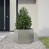 Prolenta Maison Exclusive - Bac à plantes hexagonal 69x60x45 en acier inoxydable