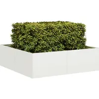 Prolenta Maison Exclusive - Bac à plantes blanc 100x100x30 cm en acier