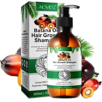P-Beauty Shampooing Batana au romarin Croissance des cheveux Soin du cuir chevelu anti-chute Vegan, 1x 300ml