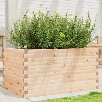 Prolenta Maison Exclusive - Bac à plantes 90x60x45,5 cm en pin massif