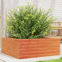 Prolenta Maison Exclusive - Bac à plantes brun ciré 60x60x23 cm Bois massif de pin