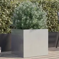 Prolenta Maison Exclusive - Bac à plantes argenté 49x47x46 cm en acier inoxydable