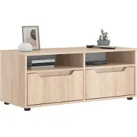 Prolenta Maison Exclusive - Meuble TV VISNES Chêne Sonoma 100x40x38 cm Matériau dérivé du bois