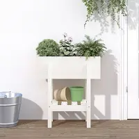 Prolenta Maison Exclusive - Bac à plantes blanc 62x30x69 cm Bois massif Pin