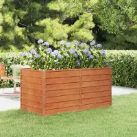 Prolenta Maison Exclusive - Jardinière surélevée Rostig 160 x 80 x 77 cm en acier Corten